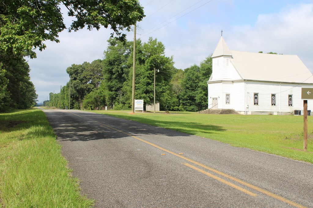 0 Pataula Park Road Georgetown, GA 39854 - Photo 9 of 12