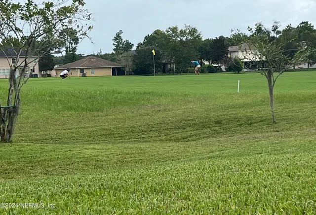 a view of a grassy field with trees