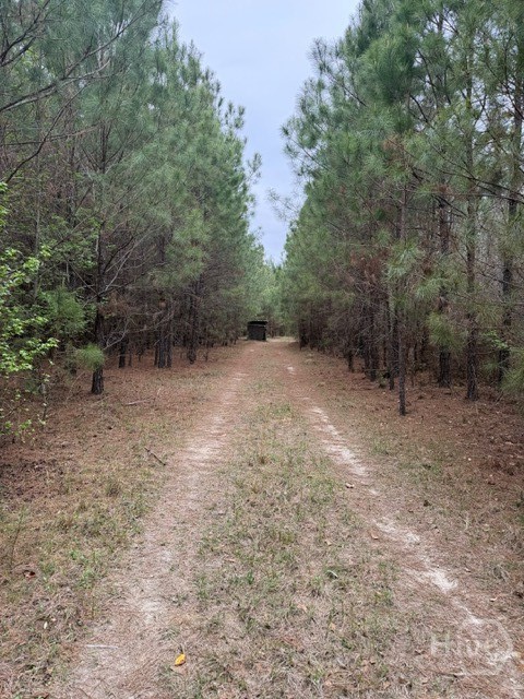 1 Race Path Road Rincon, GA 31326 - Photo 5 of 10