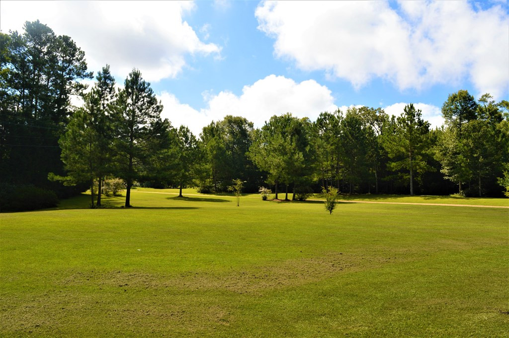 1145 River Road North Summit, MS 39666 - Photo 11 of 55 Photo 11