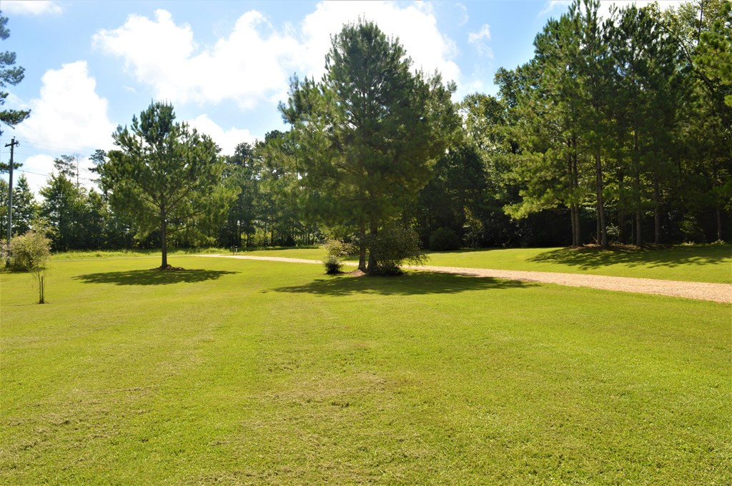 1145 River Road North Summit, MS 39666 - Photo 12 of 55 Photo 12