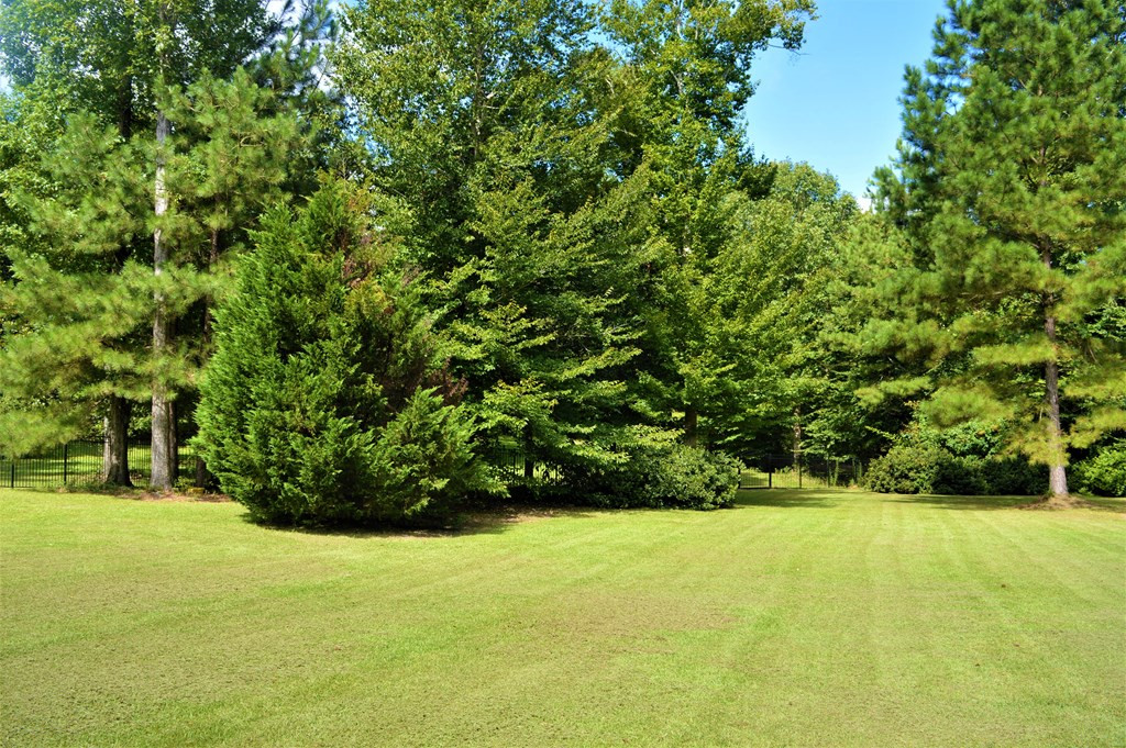 1145 River Road North Summit, MS 39666 - Photo 13 of 55 Photo 13