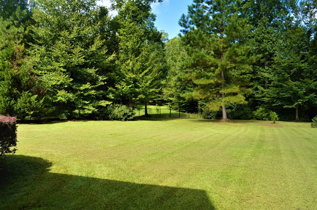 1145 River Road North Summit, MS 39666 - Photo 14 of 55 Photo 14