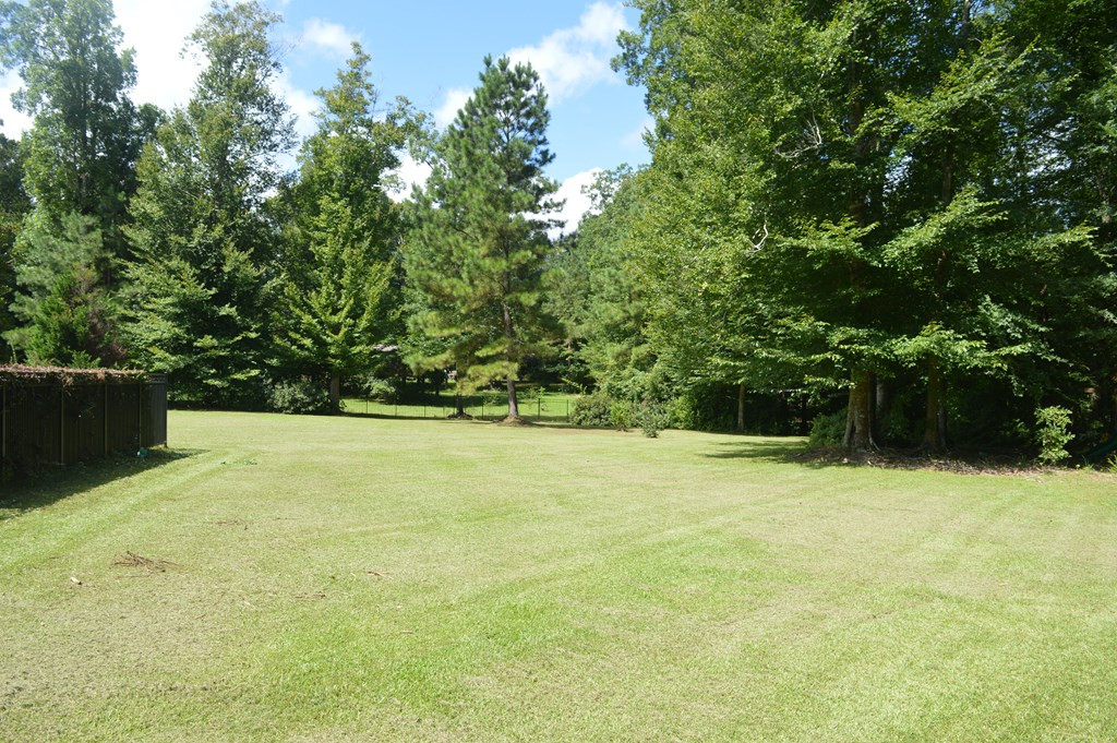 1145 River Road North Summit, MS 39666 - Photo 15 of 55 Photo 15