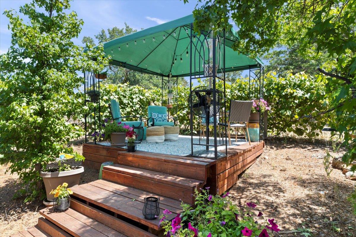 4558 Country View Court Cool, CA 95614 - Photo 47 of 82