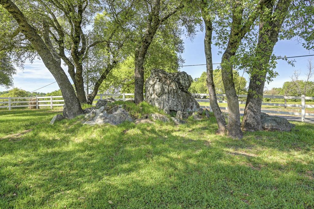 4558 Country View Court Cool, CA 95614 - Photo 73 of 82