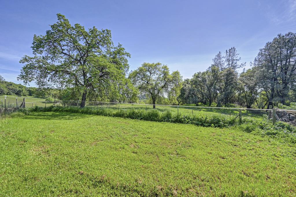 4558 Country View Court Cool, CA 95614 - Photo 78 of 82 a view of a park