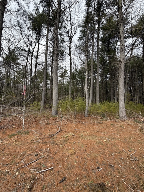 0 Pine Street Raynham, MA 02767 - Photo 1 of 3 a backyard of a house with lots of green space