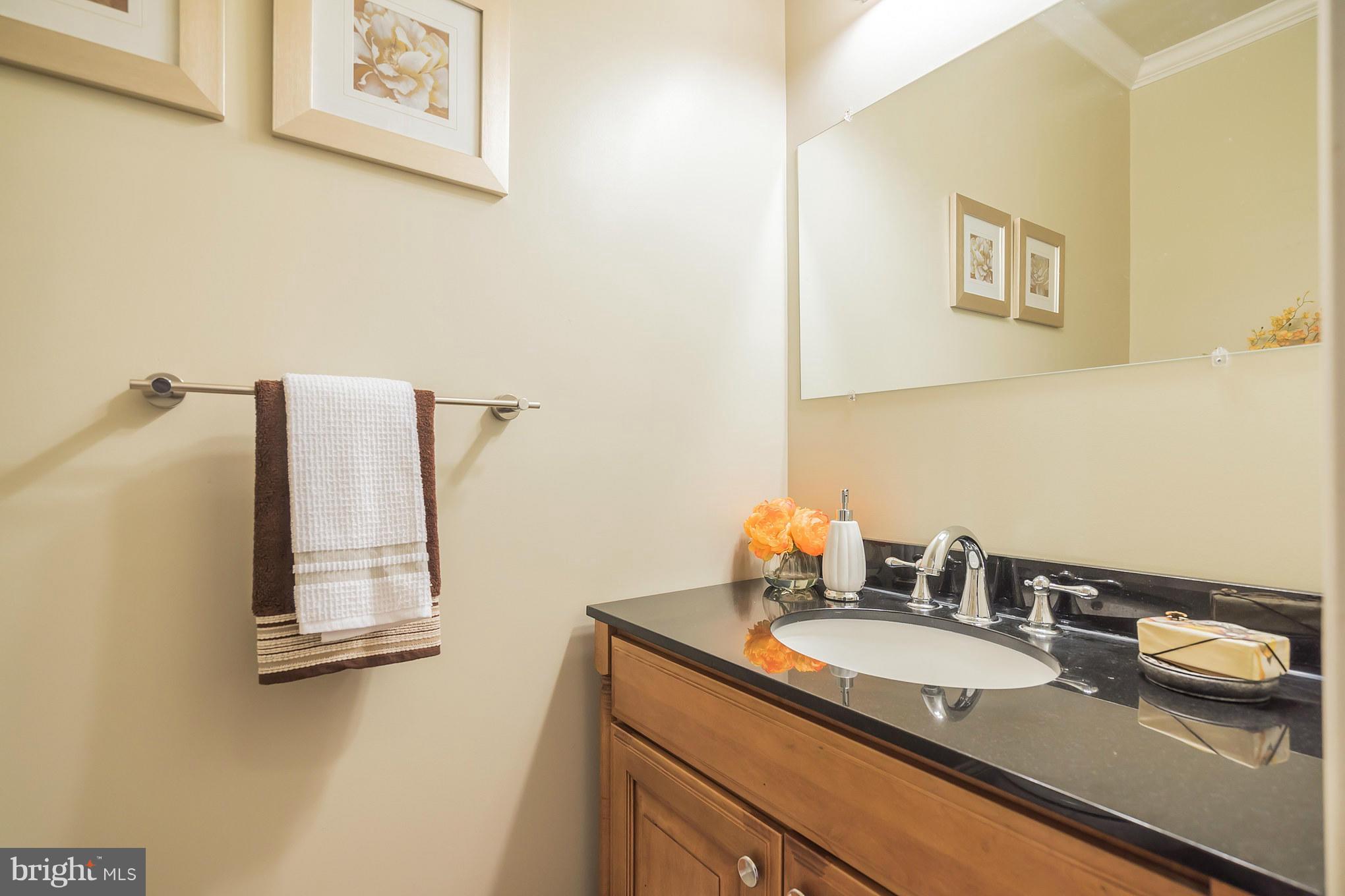 7115 Brink Road Laytonsville, MD 20882 - Photo 10 of 25 Powder room