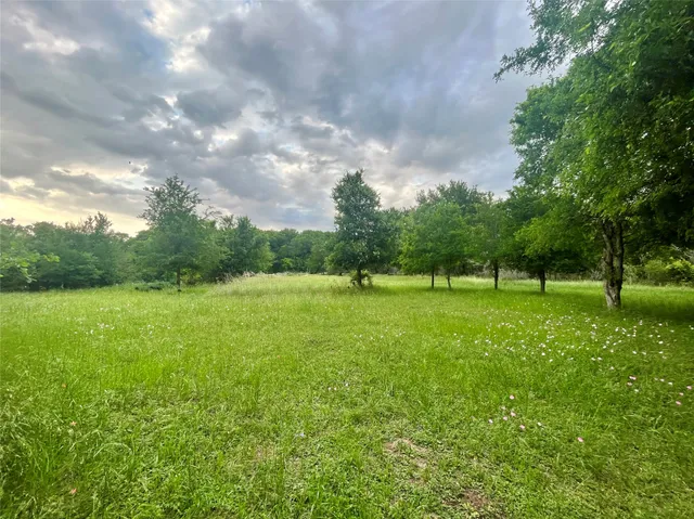 a view of green field with trees in the background