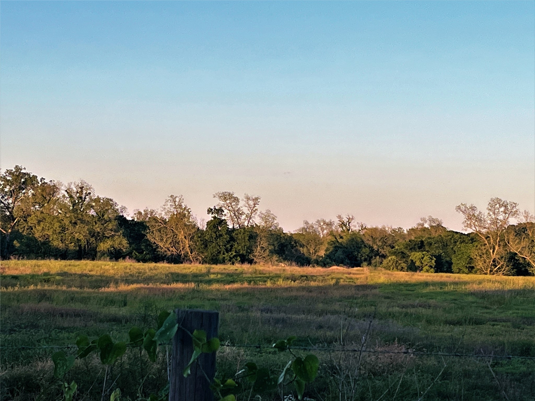 198 Riverside Drive La Grange, TX 78945 - Photo 15 of 17 a view of a grassy field with trees