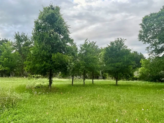 a view of green field