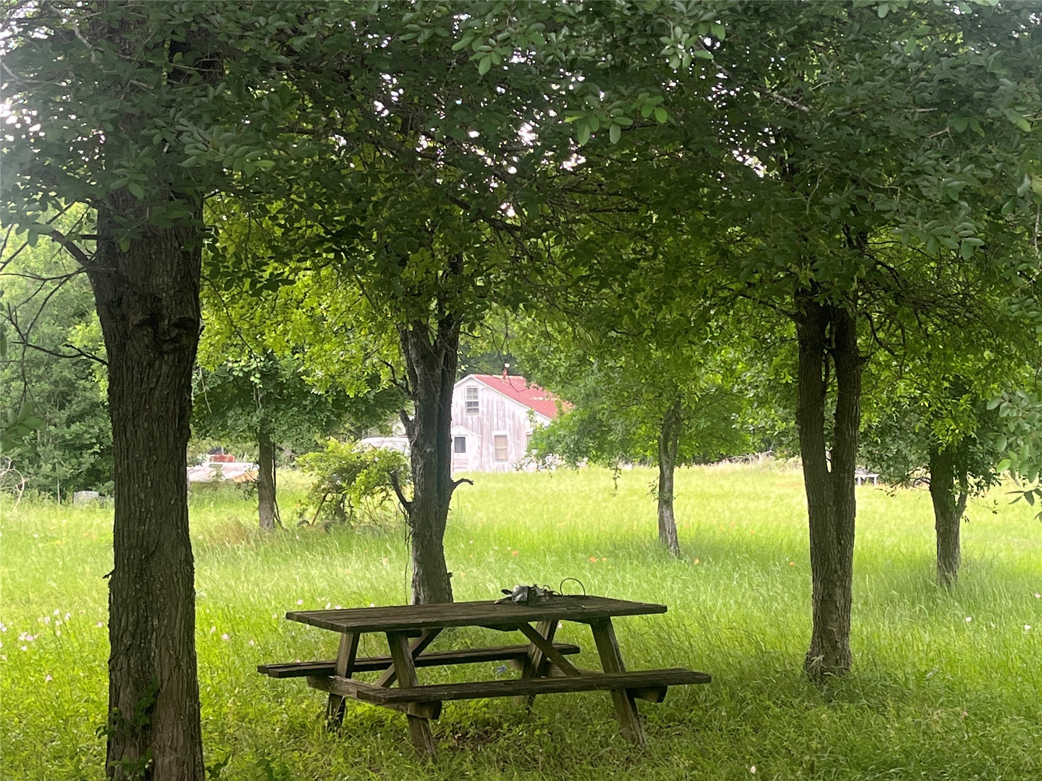 198 Riverside Drive La Grange, TX 78945 - Photo 6 of 17 a view of swimming pool from a lake