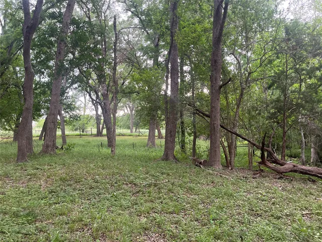 a view of outdoor space with trees
