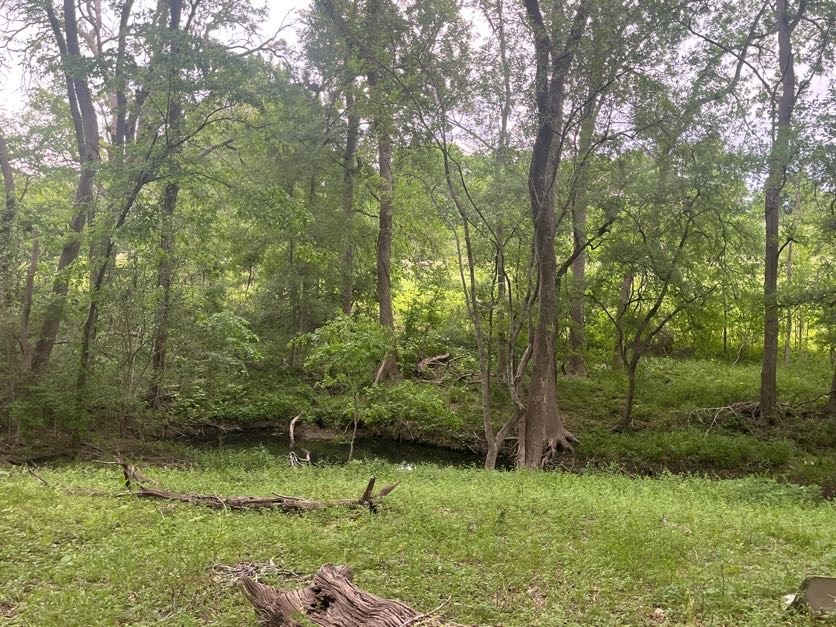 198 Riverside Drive La Grange, TX 78945 - Photo 8 of 17 a backyard of a house with lots of green space