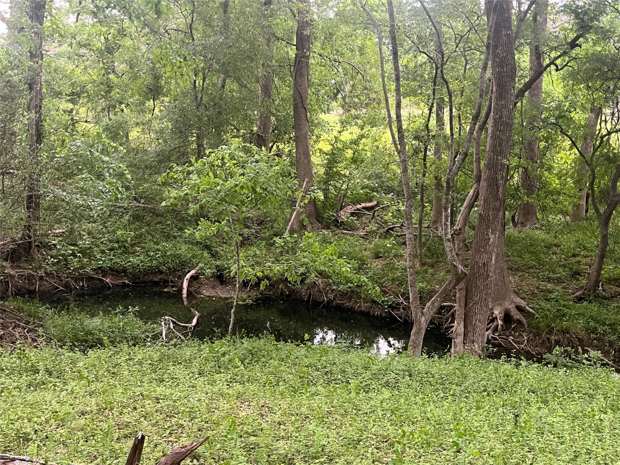 198 Riverside Drive La Grange, TX 78945 - Photo 9 of 17 a garden view with a seating space