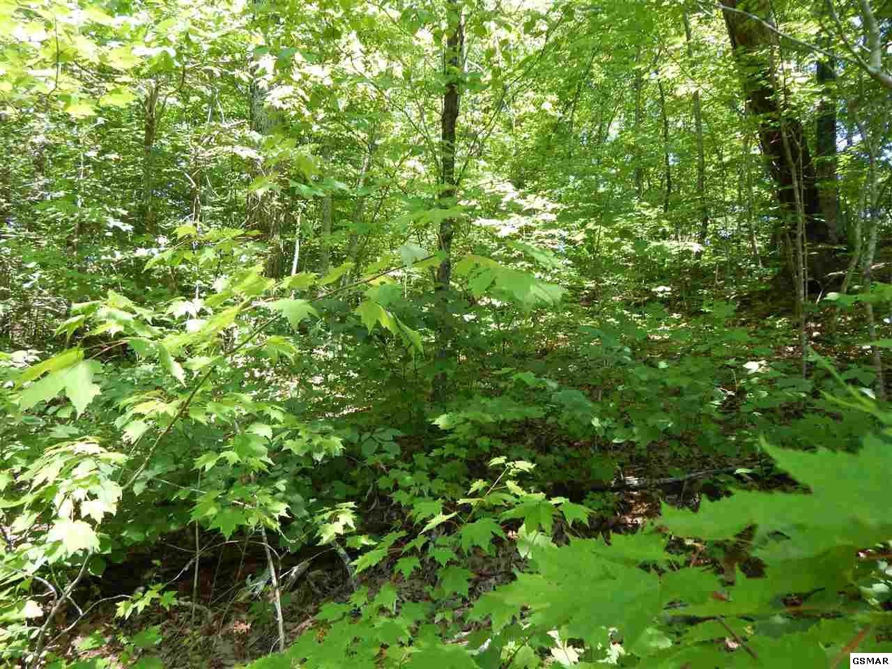 53 Pea Hollow Road Sevierville, TN 37876 - Photo 10 of 18 Gallery Image 10