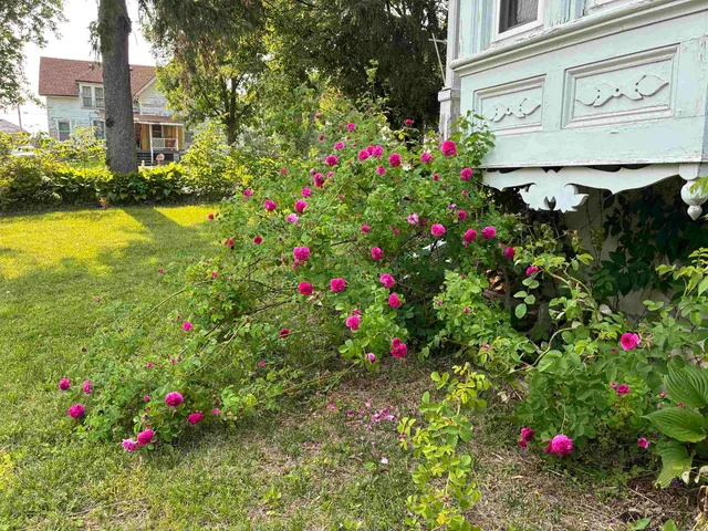 $119,900 | 115 North Clay Street, Mount Carroll, IL 61053