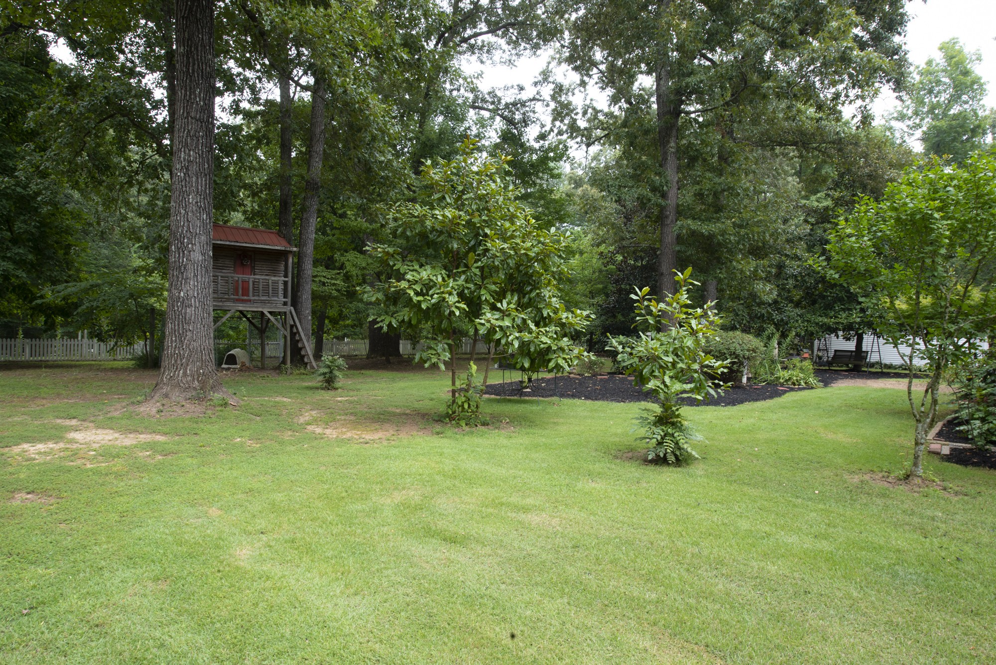 836 Dripping Springs Road Winchester, TN 37398 - Photo 34 of 37 a view of a tree in a yard