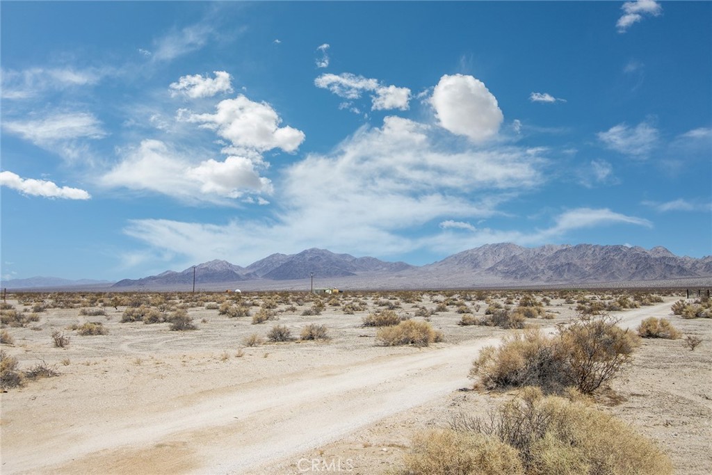 87000 Amboy Road Twentynine Palms, CA 92277 - Photo 17 of 17 a view of a very nice looking yard