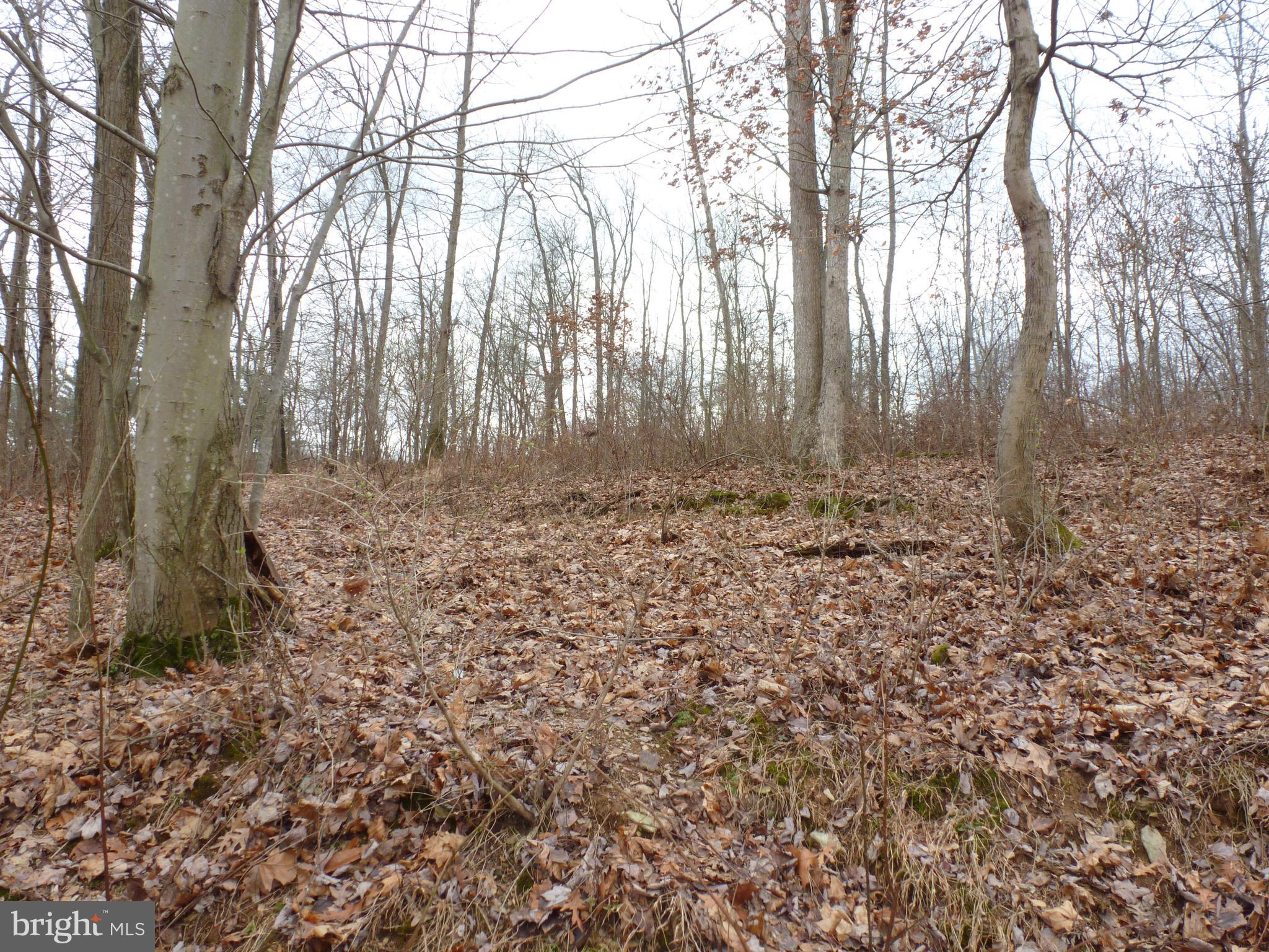 Windy Hill Road New Freedom, PA 17349 - Photo 2 of 3