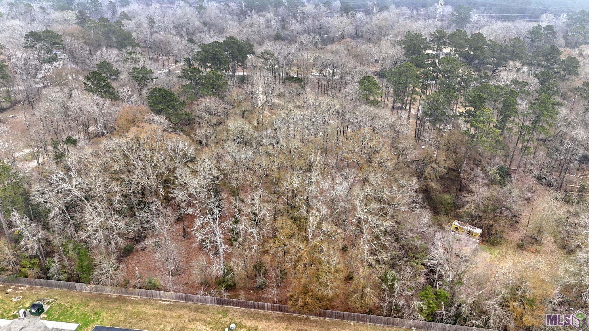 11232 Buddy Ellis Road Denham Springs, LA 70726 - Photo 24 of 31