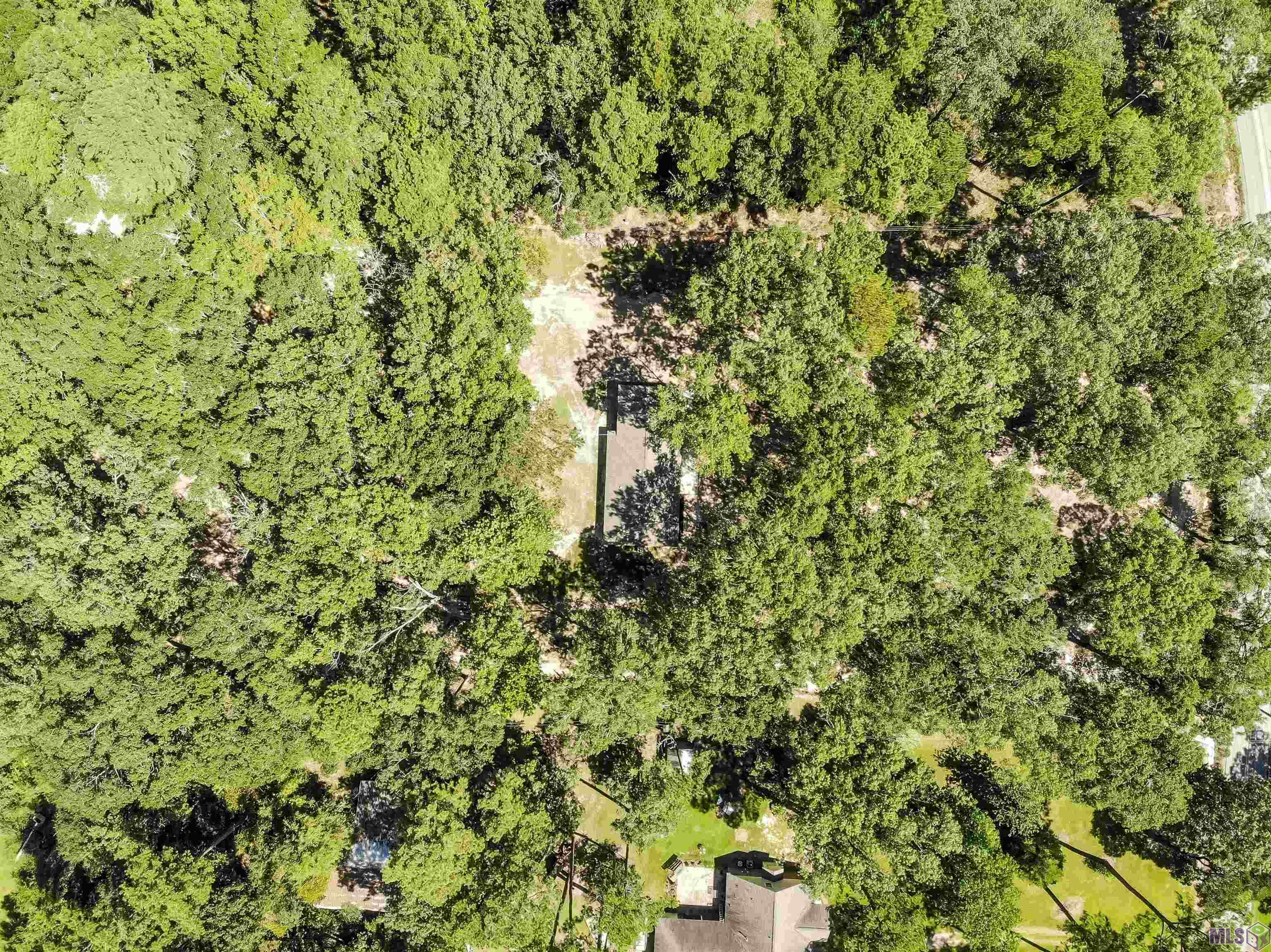 11232 Buddy Ellis Road Denham Springs, LA 70726 - Photo 27 of 31