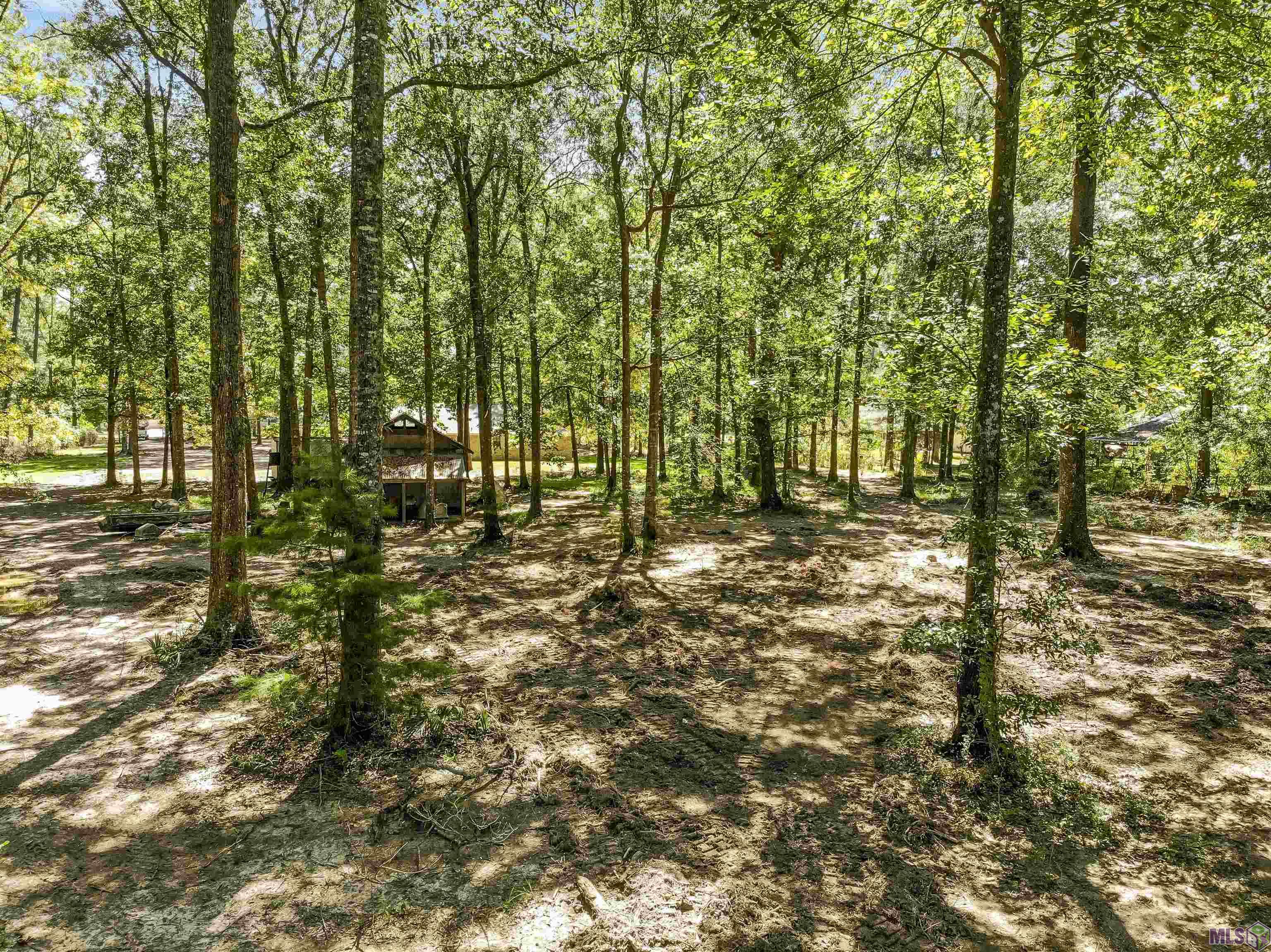 11232 Buddy Ellis Road Denham Springs, LA 70726 - Photo 30 of 31