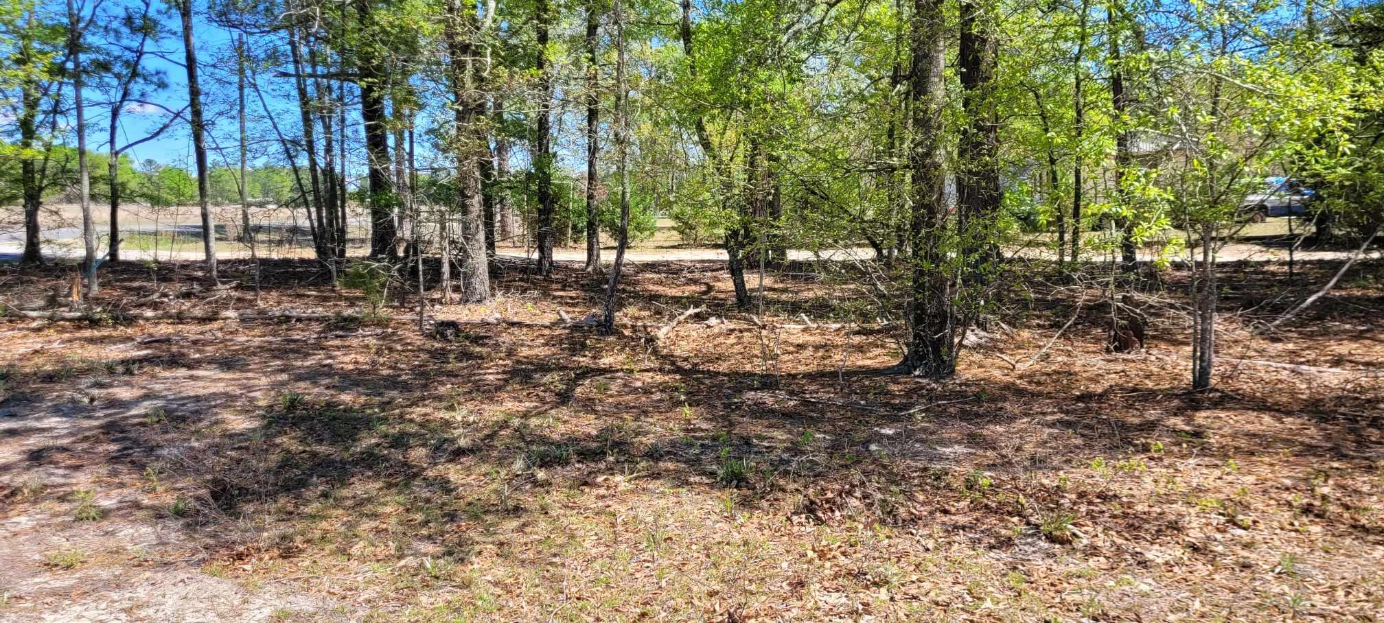 36 Joe Dority Road Bishopville, SC 29010 - Photo 6 of 20 Gallery Image 6