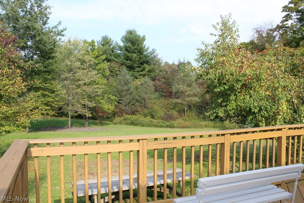 13401 Sperry Road Chesterland, OH 44026 - Photo 18 of 25 Sit and enjoy the view while your meal in grilling