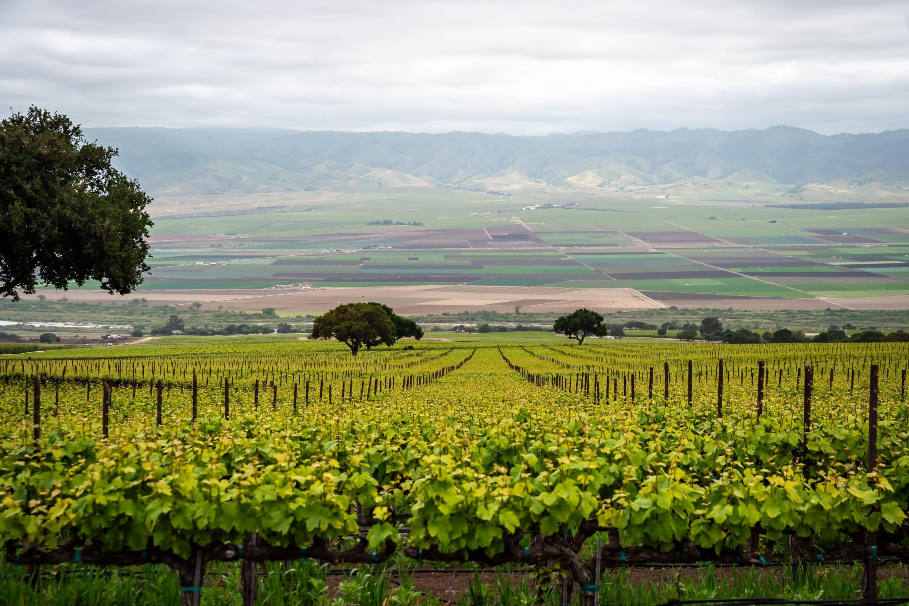 33520 Fairview Road Soledad, CA 93960 - Photo 13 of 94 7d