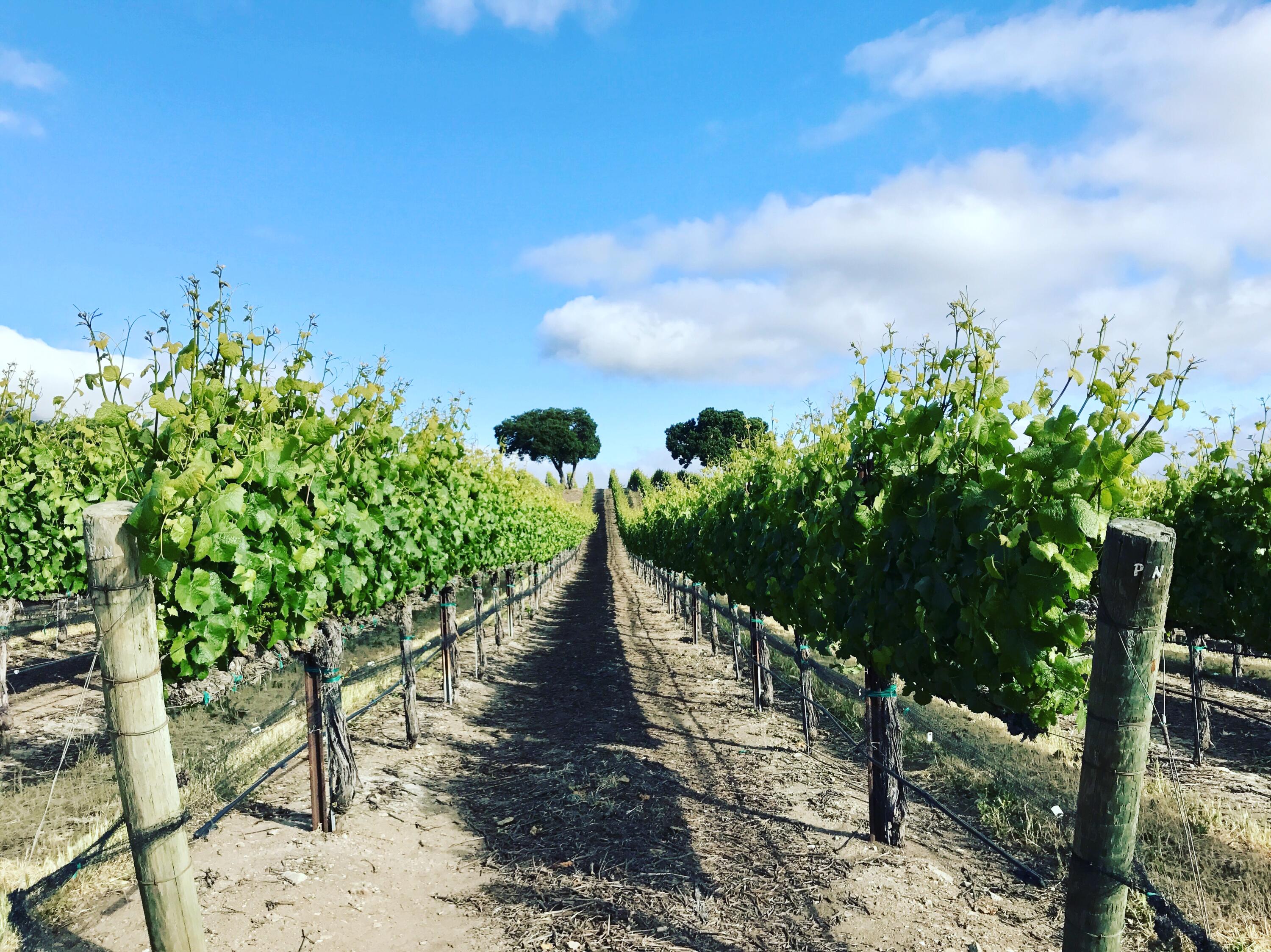 33520 Fairview Road Soledad, CA 93960 - Photo 16 of 94 7d3