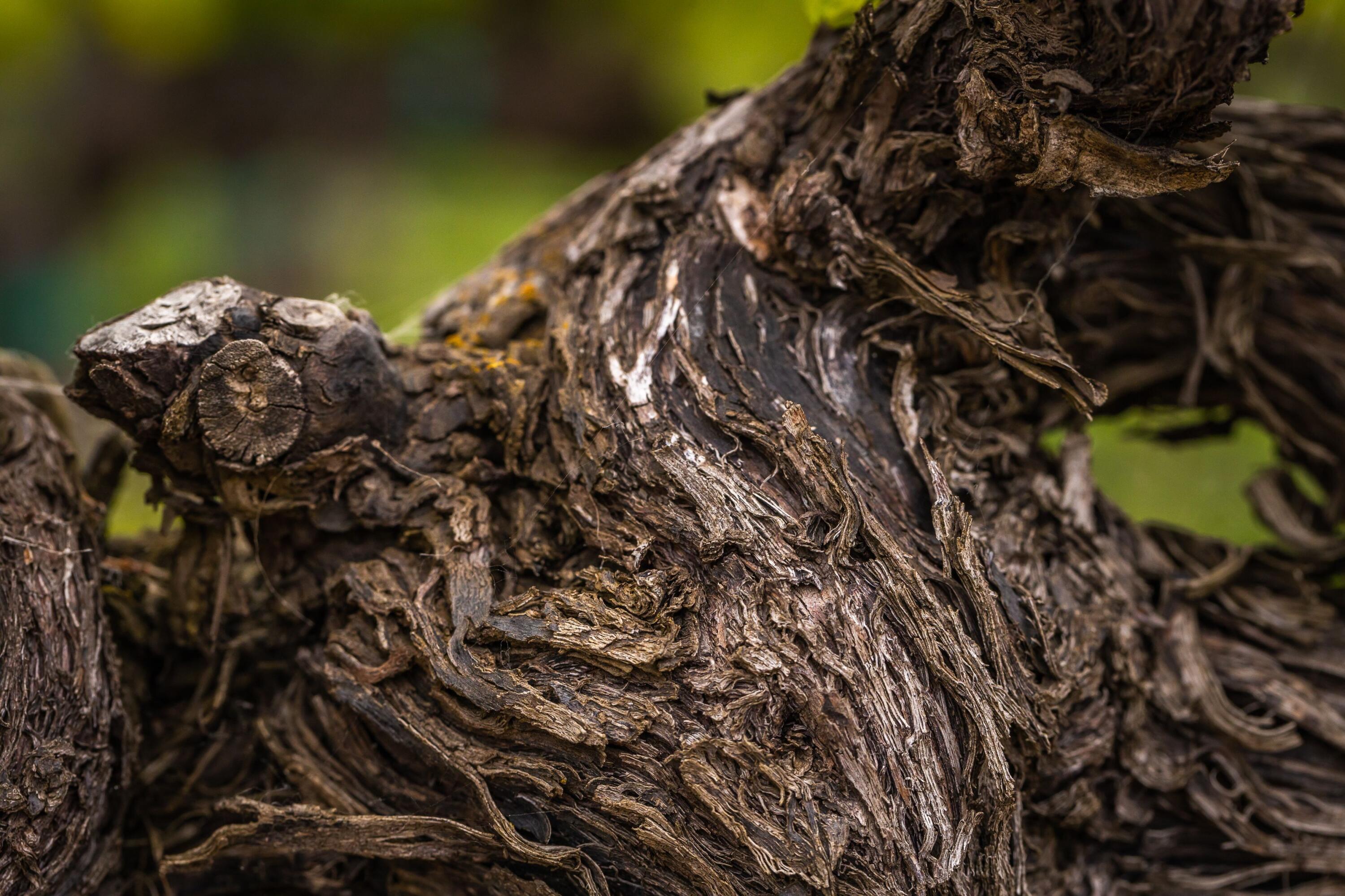 33520 Fairview Road Soledad, CA 93960 - Photo 18 of 94 7d5