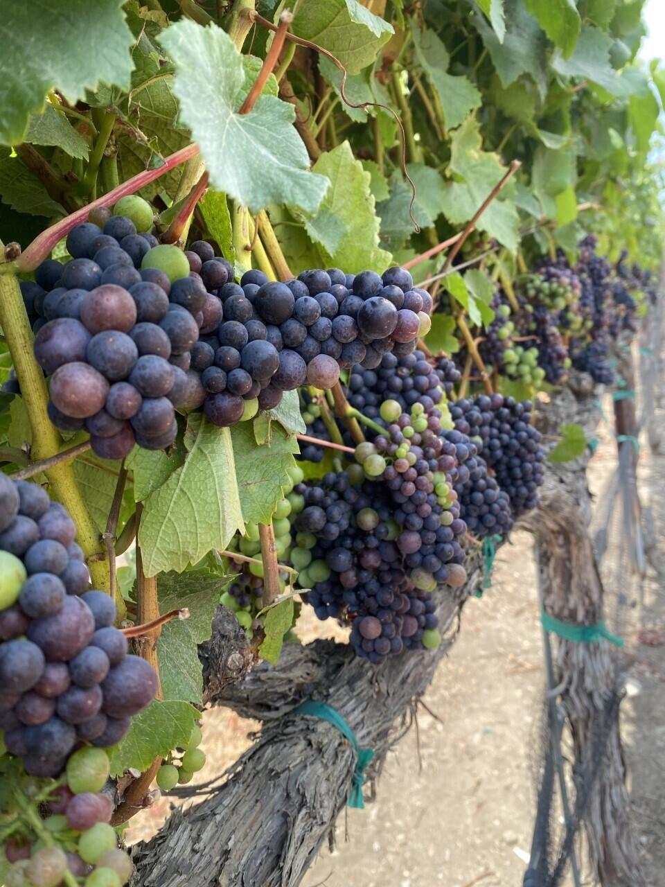 33520 Fairview Road Soledad, CA 93960 - Photo 21 of 94 7e