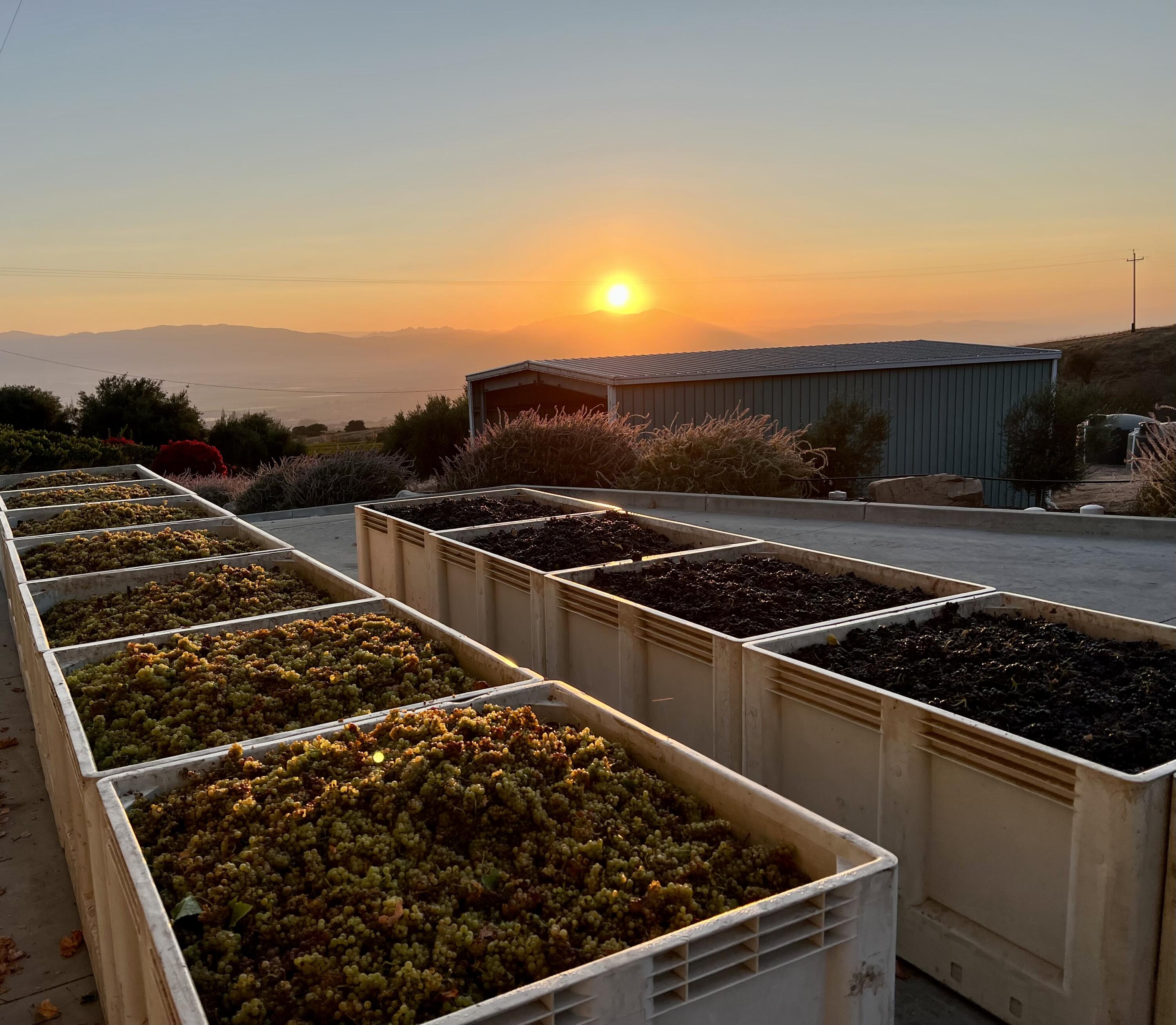 33520 Fairview Road Soledad, CA 93960 - Photo 22 of 94 7e1