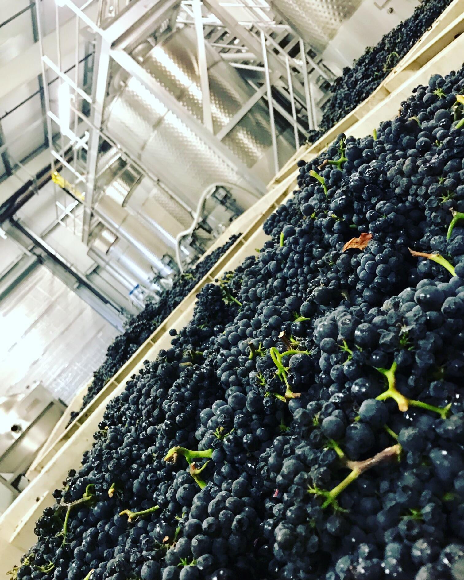 33520 Fairview Road Soledad, CA 93960 - Photo 25 of 94 8