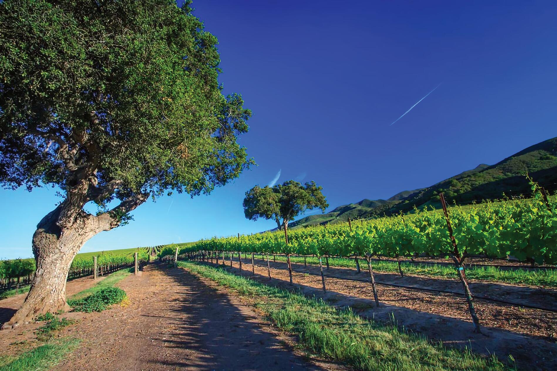 33520 Fairview Road Soledad, CA 93960 - Photo 3 of 94 2b