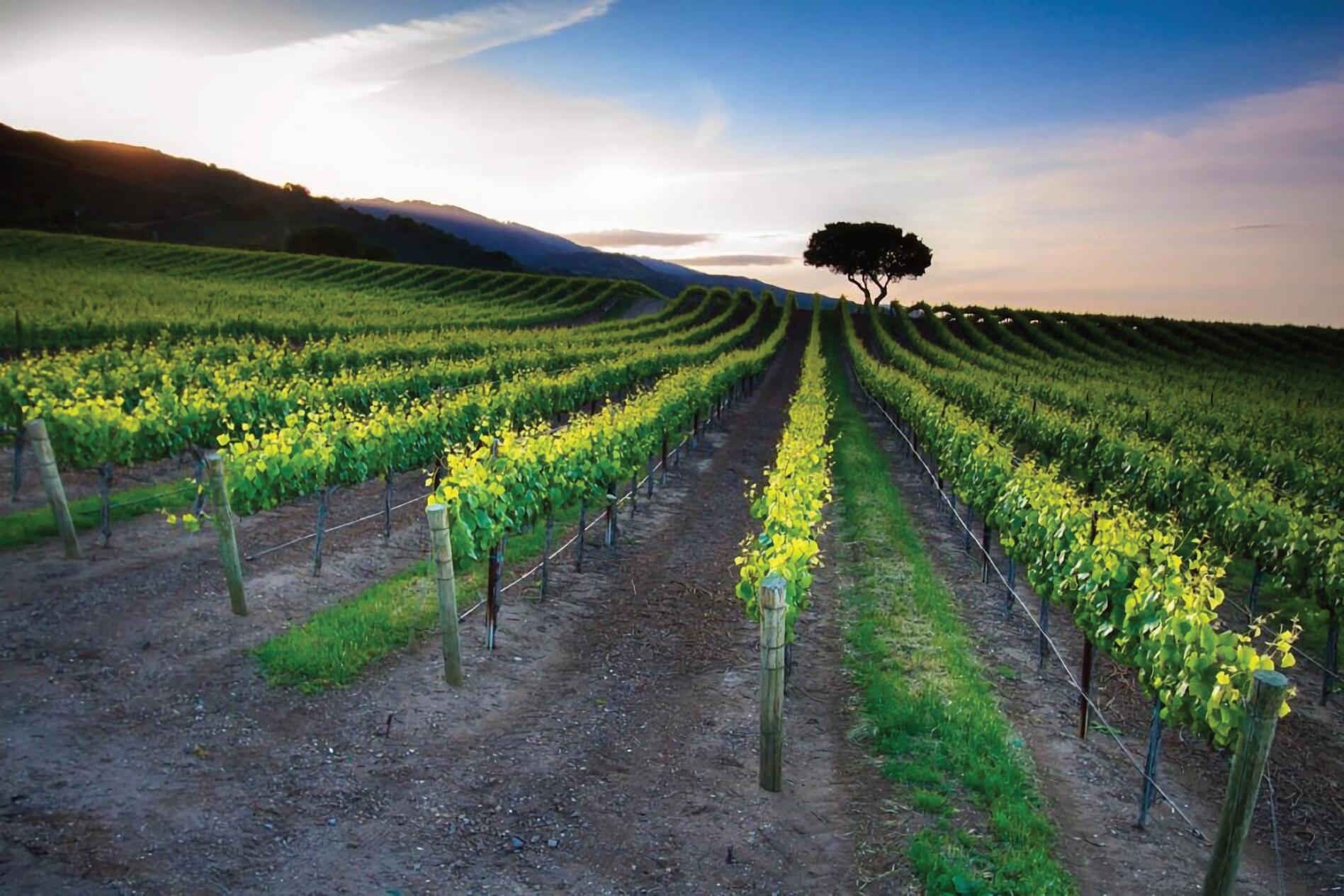 33520 Fairview Road Soledad, CA 93960 - Photo 5 of 94 4a