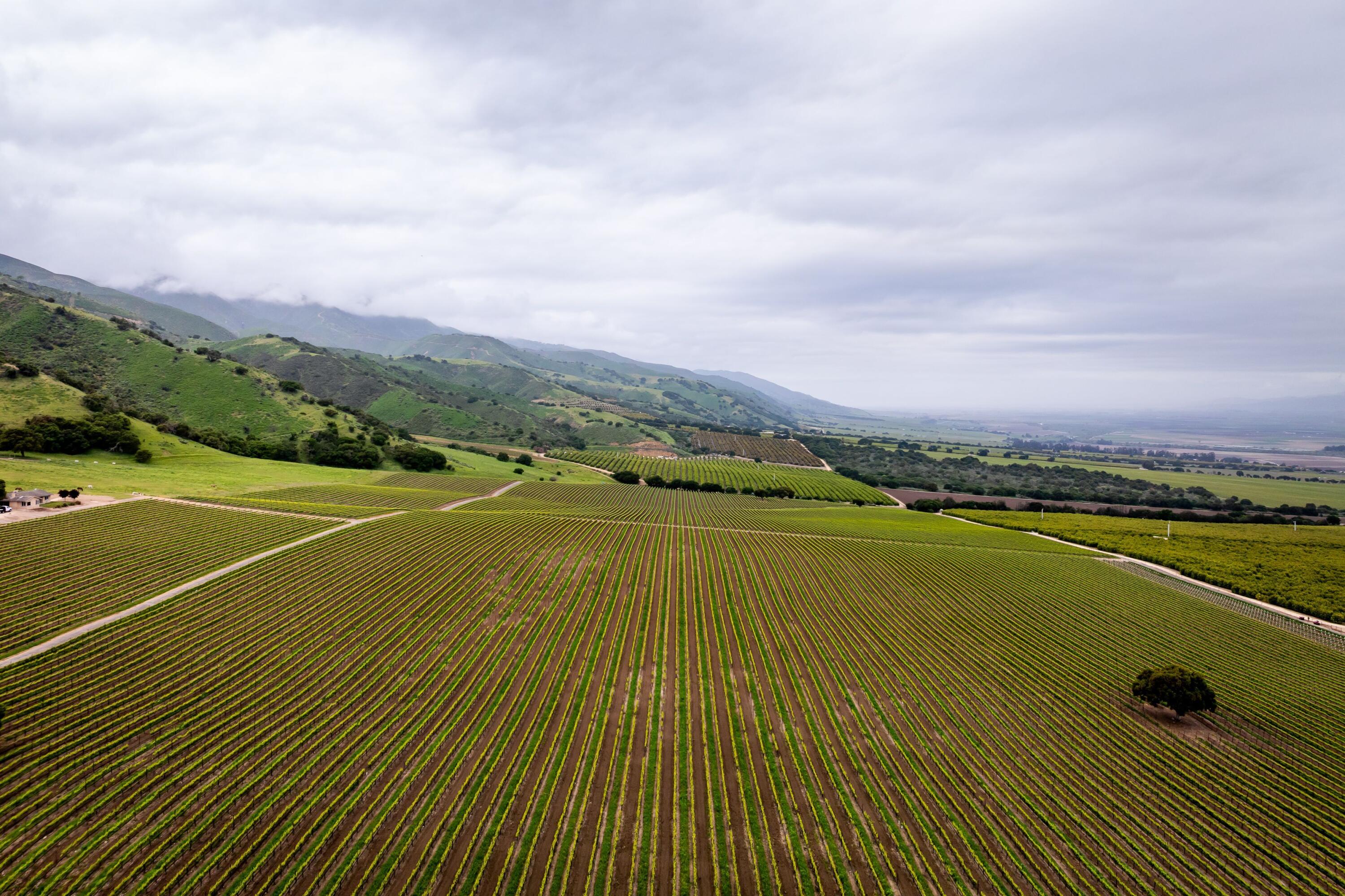 33520 Fairview Road Soledad, CA 93960 - Photo 6 of 94 5