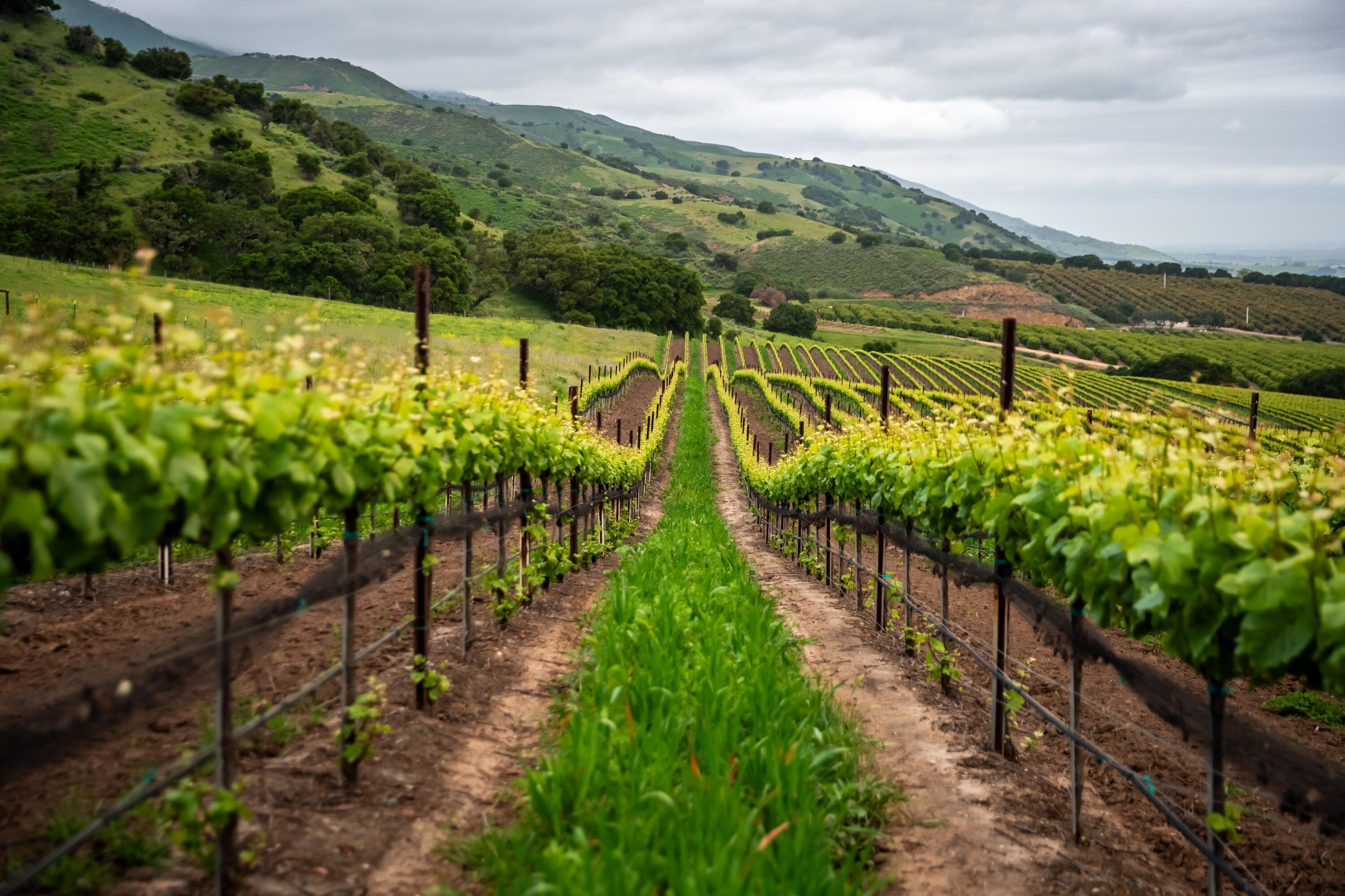 33520 Fairview Road Soledad, CA 93960 - Photo 7 of 94 5a