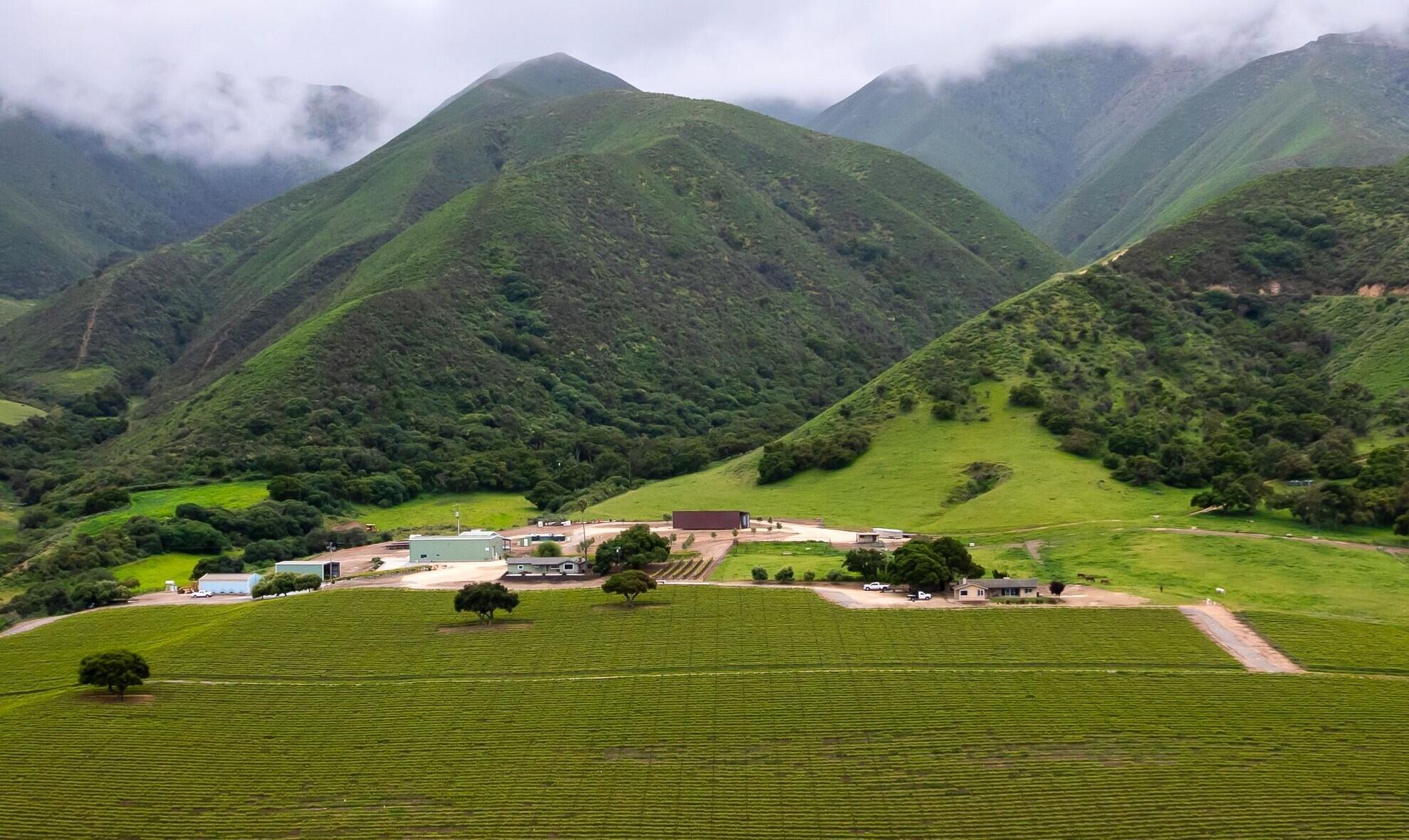 33520 Fairview Road Soledad, CA 93960 - Photo 75 of 94 40