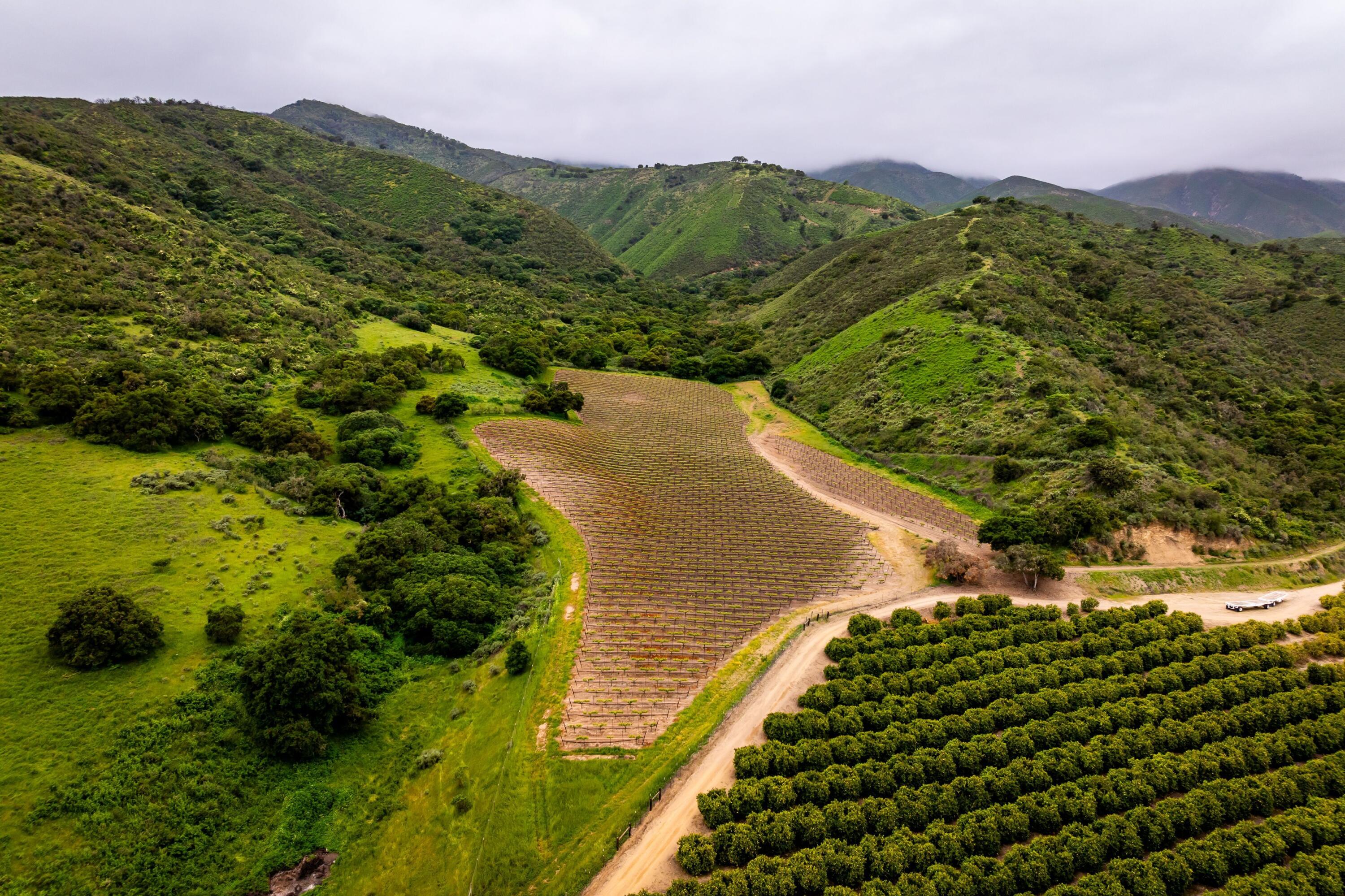 33520 Fairview Road Soledad, CA 93960 - Photo 81 of 94 45a