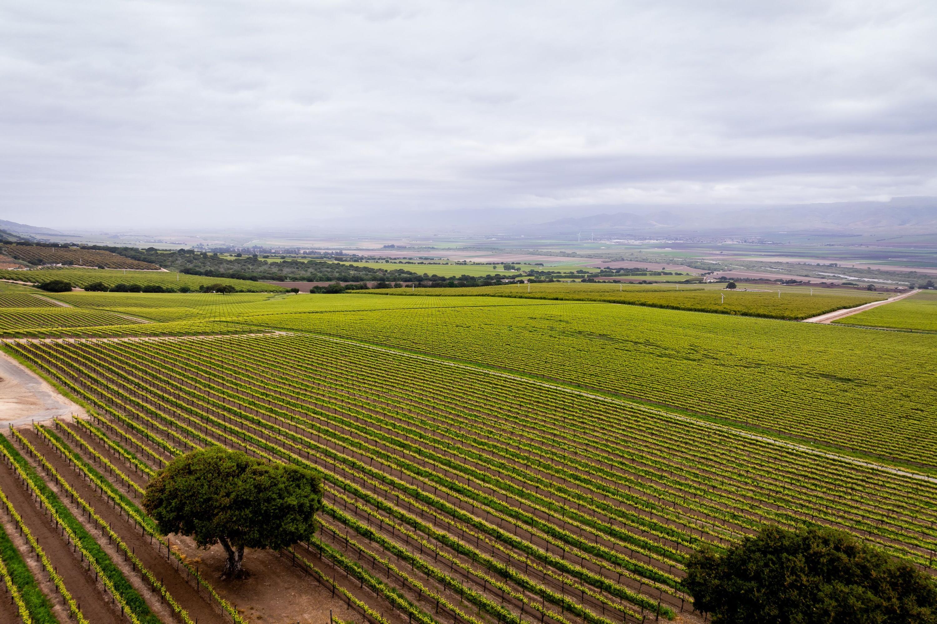 33520 Fairview Road Soledad, CA 93960 - Photo 83 of 94 49