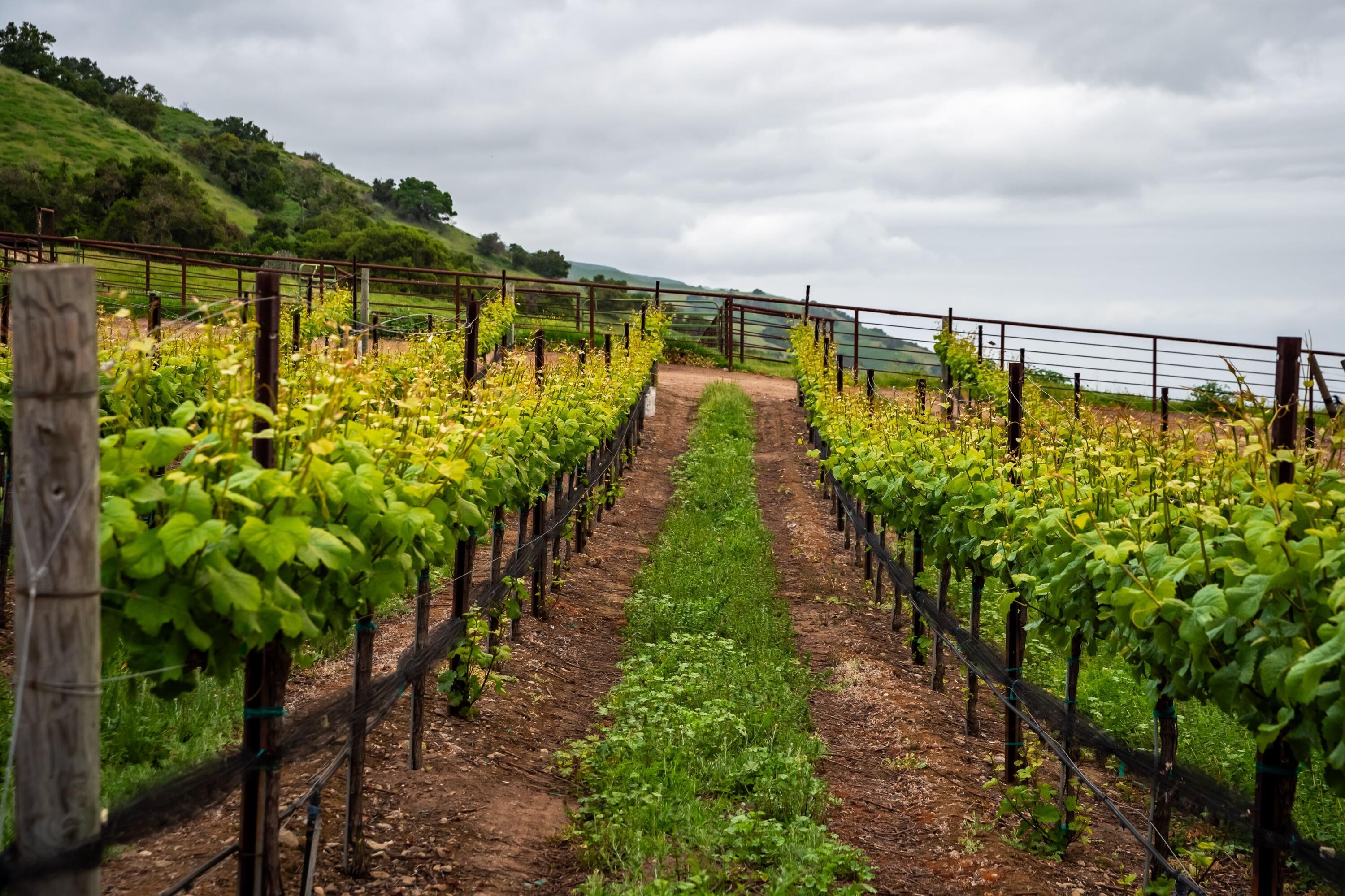 33520 Fairview Road Soledad, CA 93960 - Photo 85 of 94 52