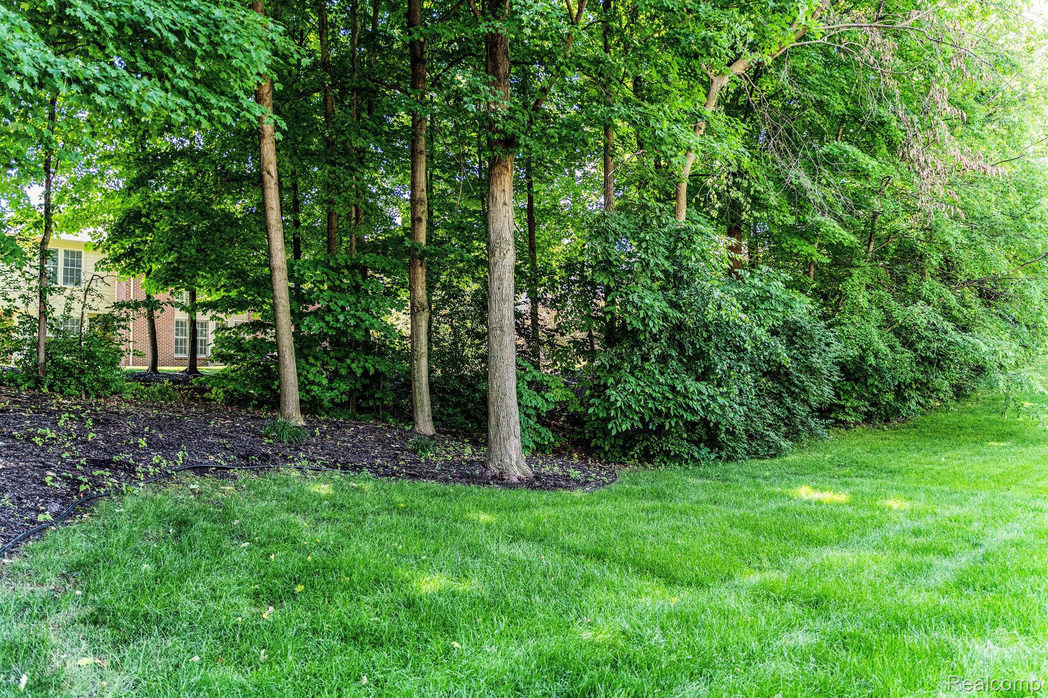 50587 Colchester Court Canton, MI 48187 - Photo 60 of 70 Gallery Image 60