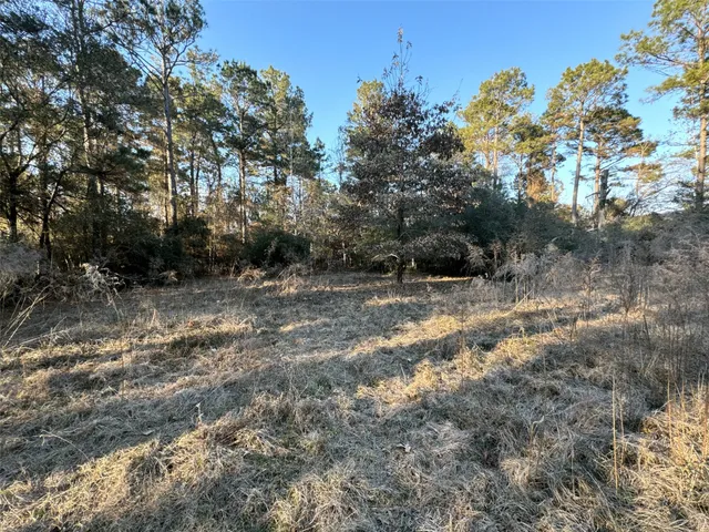 $215,000 | 11200 Kentucky Oaks Drive, Conroe, TX 77304