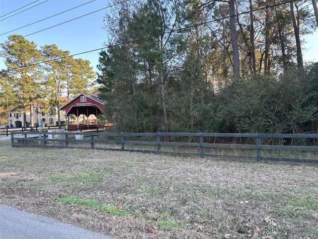 a view of backyard with large trees