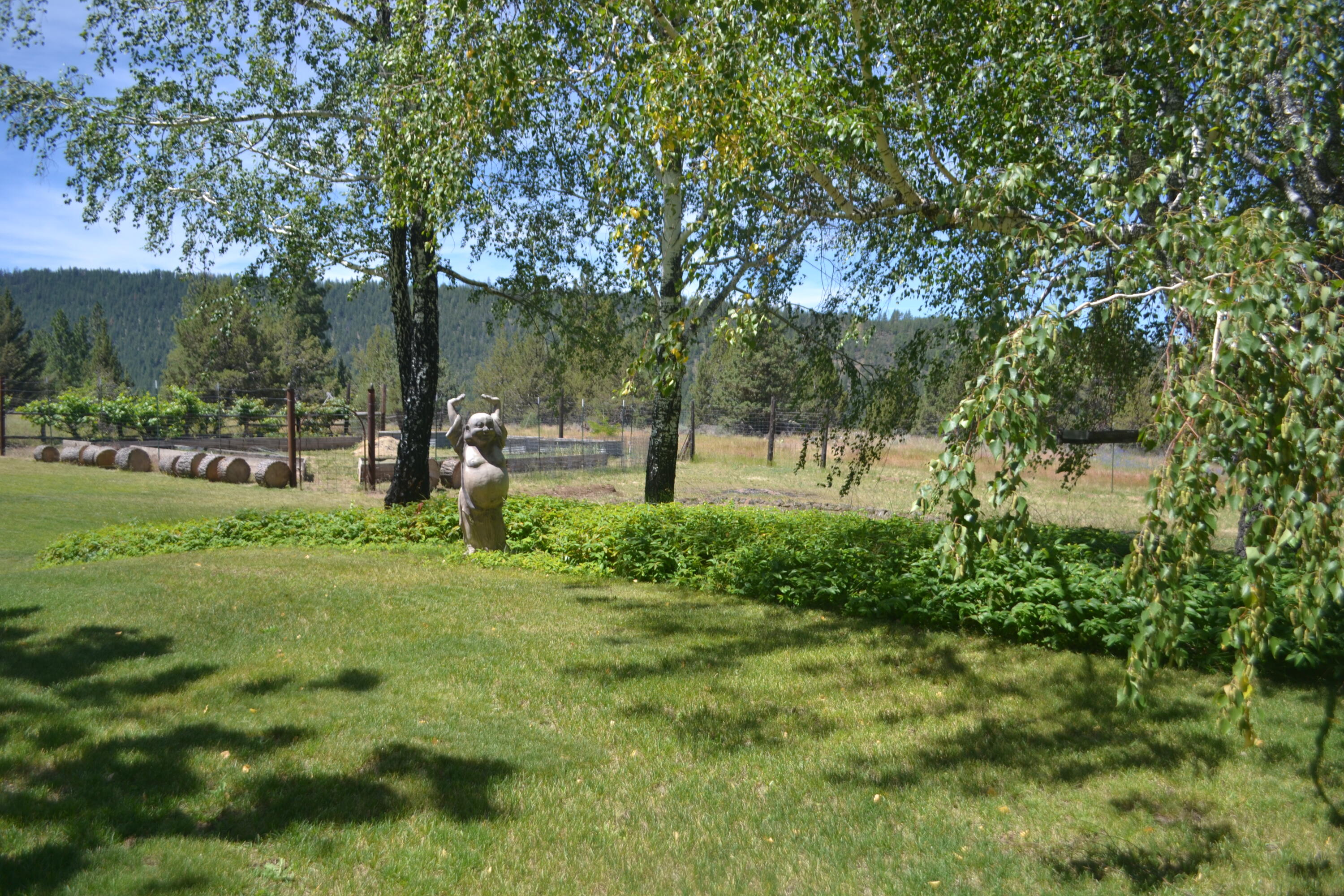 542-405 Punkin Center Road Bieber, CA 96009 - Photo 123 of 127 Yard (3)