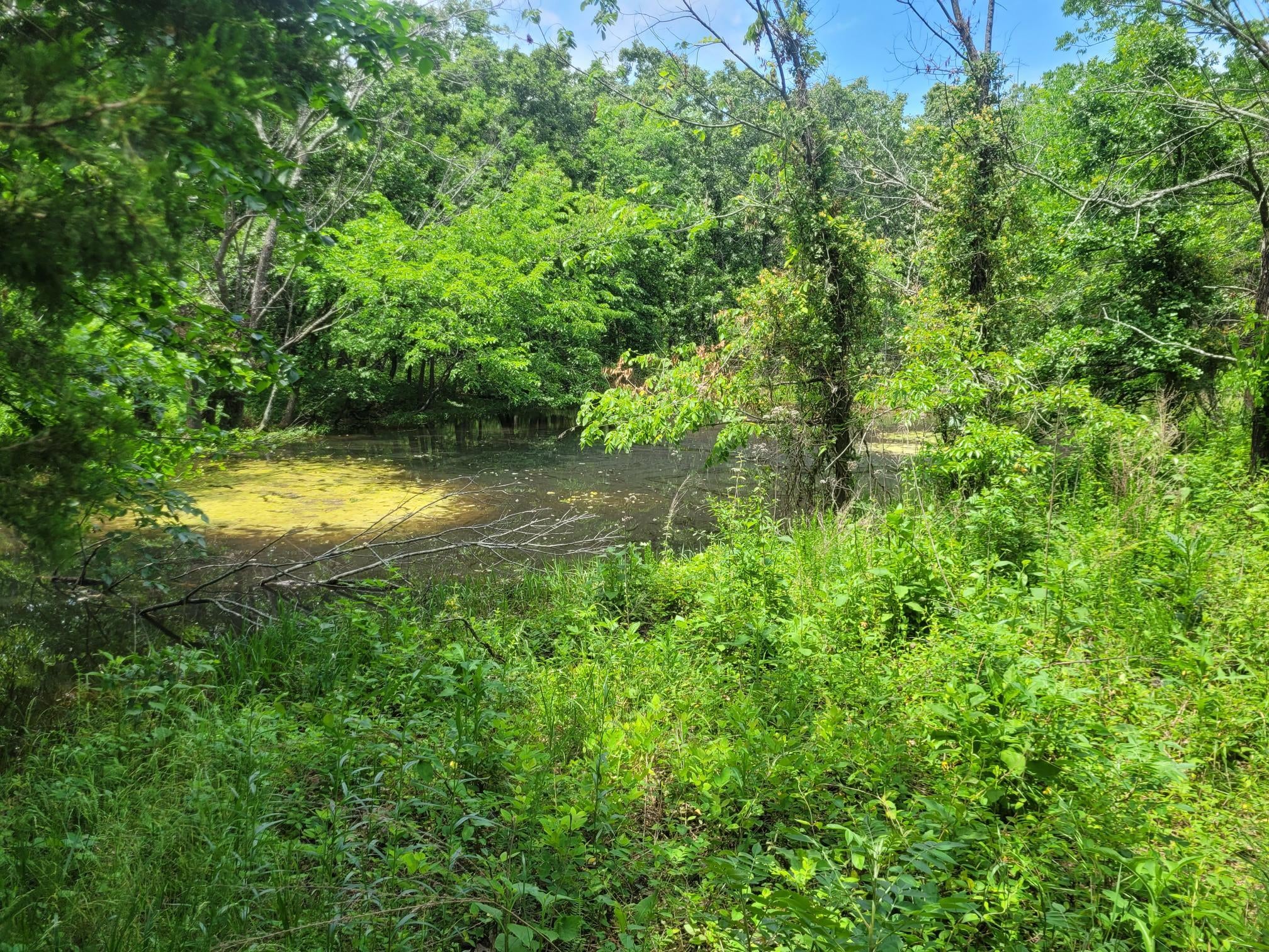 439148 East 60 Road Welch, OK 74369 - Photo 45 of 45 SAME POND