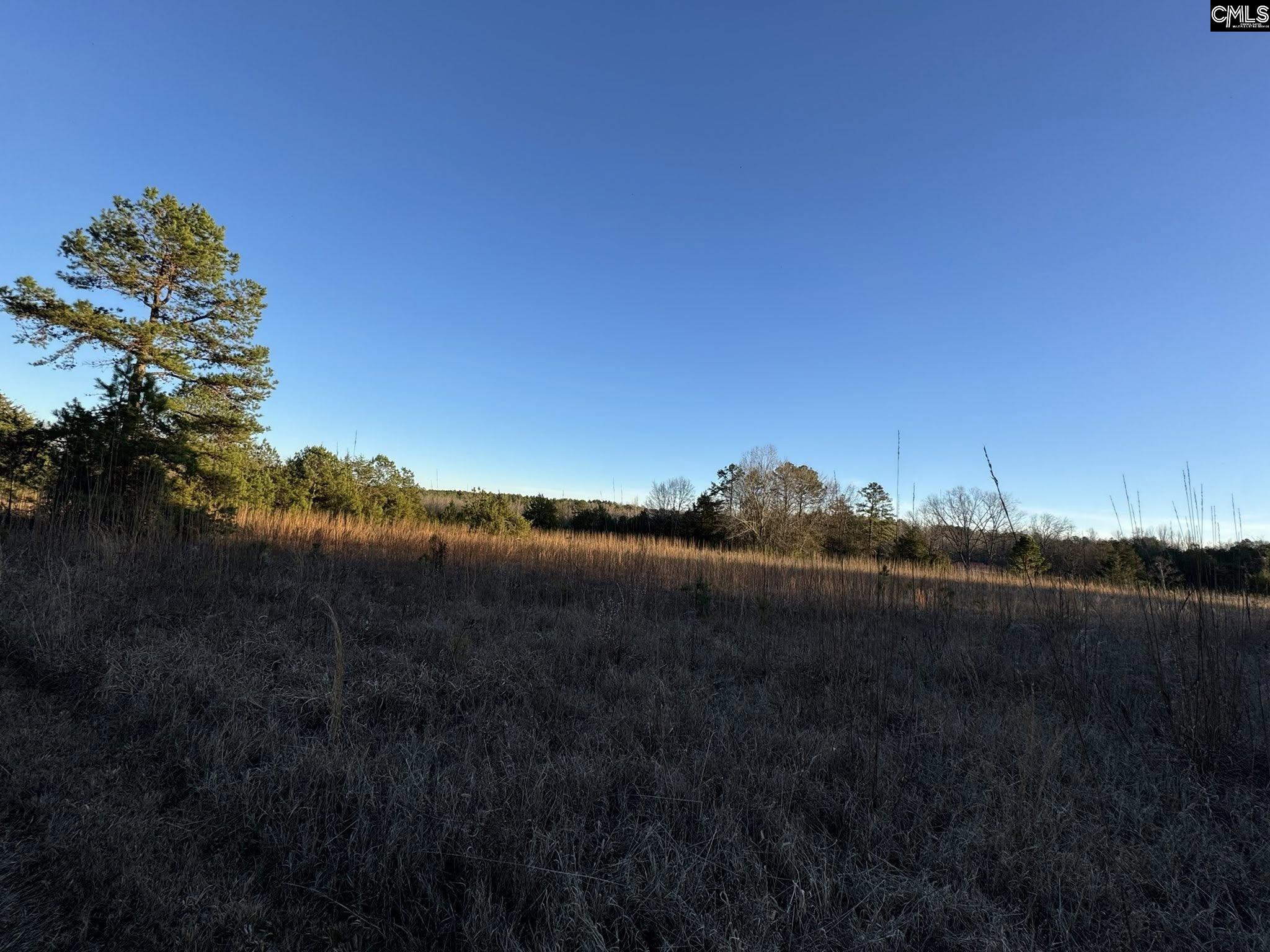 150 Floyd Lanford Road Woodruff, SC 29388 - Photo 59 of 65
